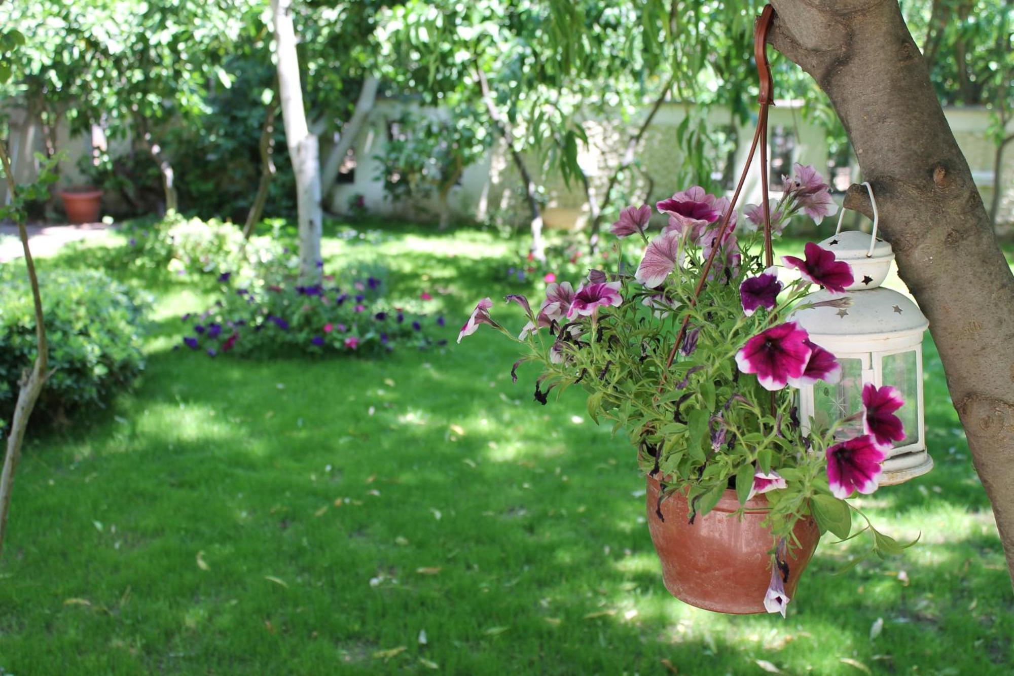 Bella Garden Hotel Bodrum ภายนอก รูปภาพ