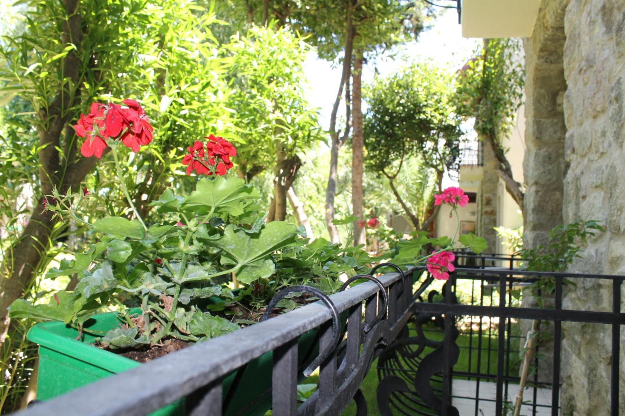 Bella Garden Hotel Bodrum ภายนอก รูปภาพ